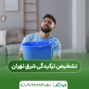 تشخیص ترکیدگی شرق تهران