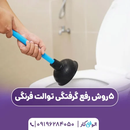 5 روش رفع گرفتگی توالت