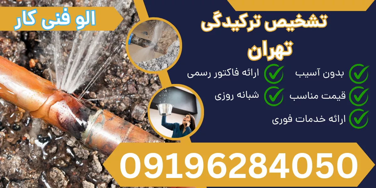 تشخیص ترگیدگی تهران