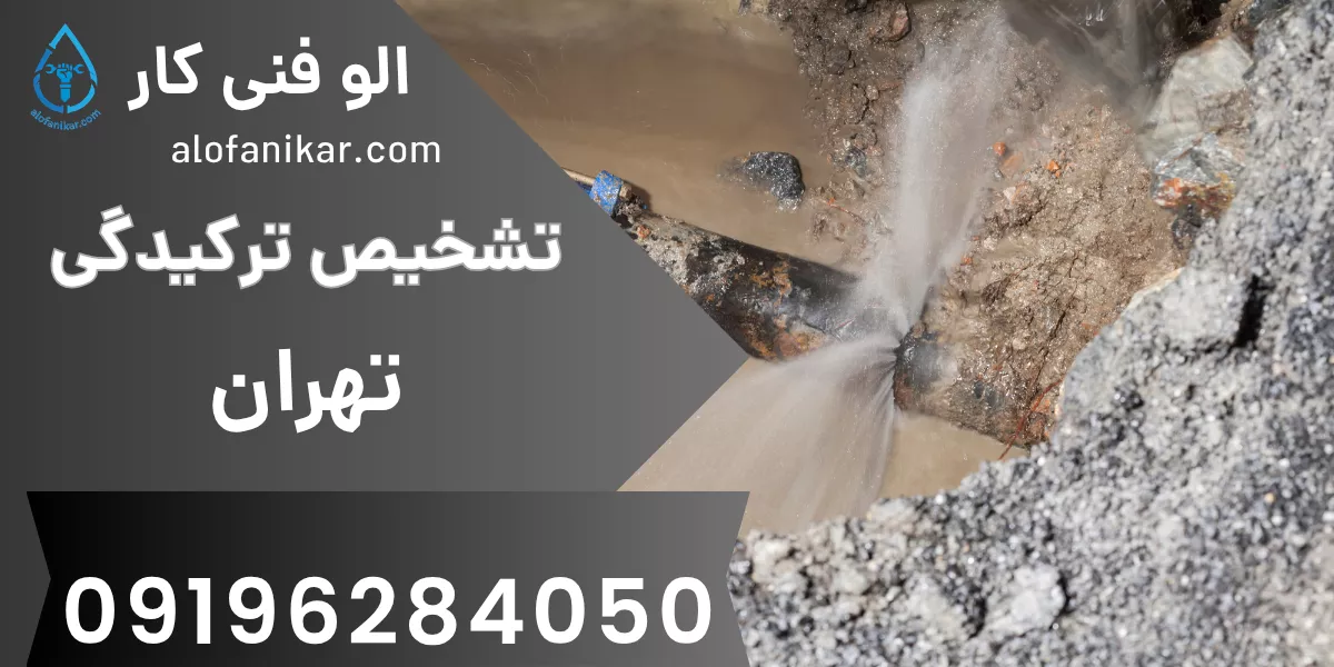 تشخیص ترگیدگی تهران