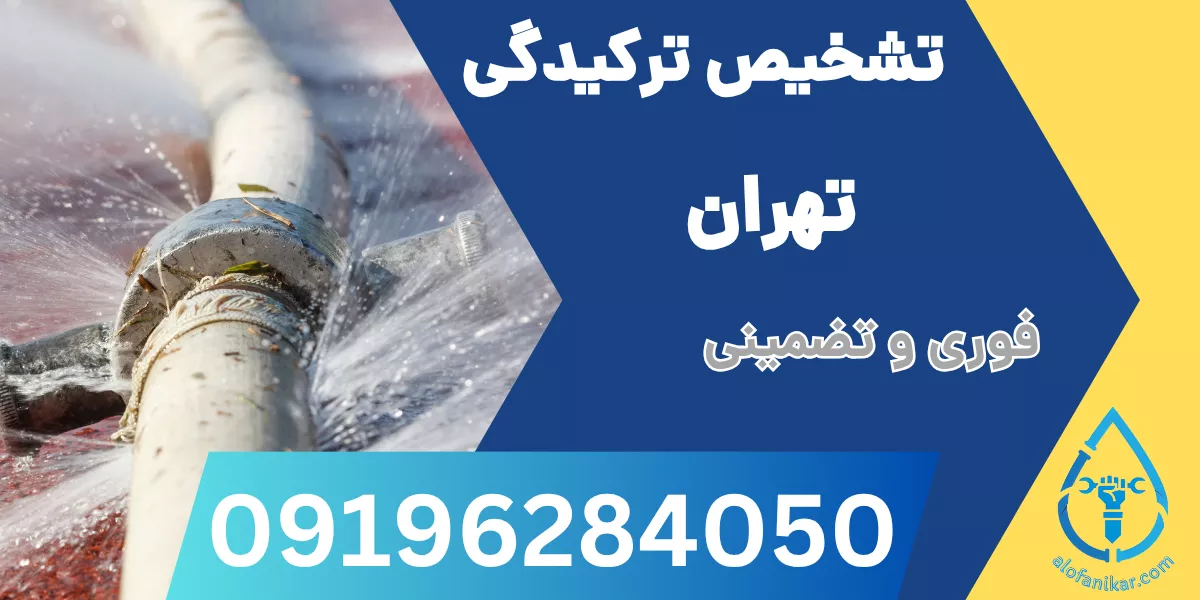 تشخیص ترگیدگی تهران